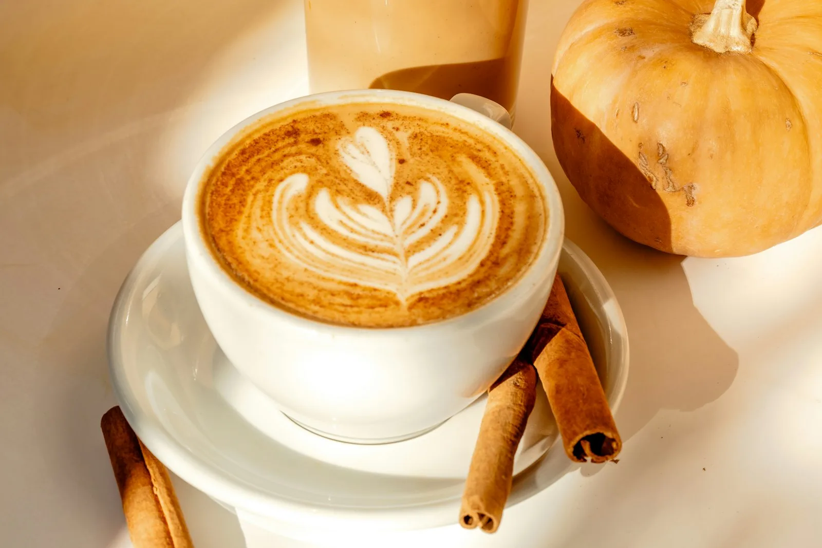 A casa d'espècies de cafè