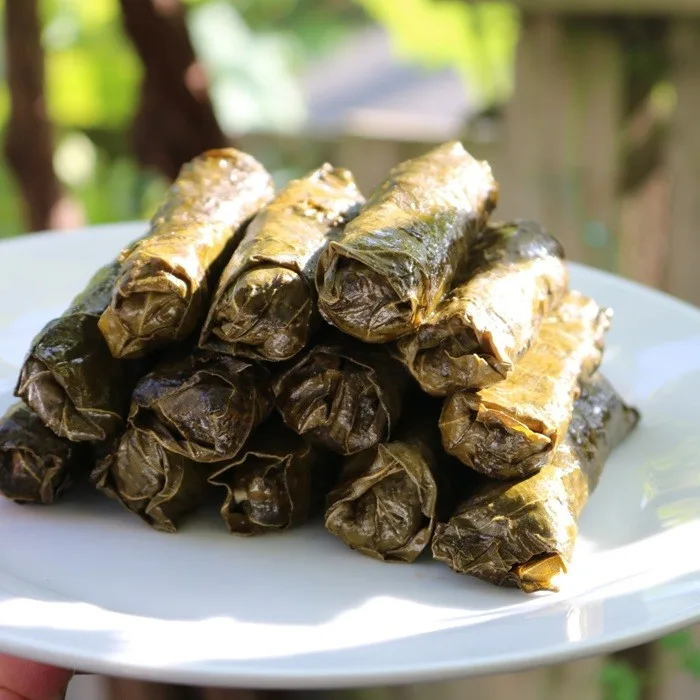 Hojas de parra rellenas