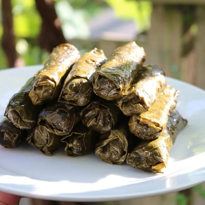 Hojas de parra rellenas